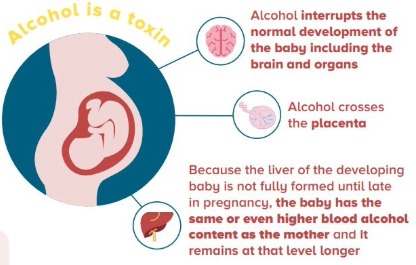 Alcohol and pregnancy