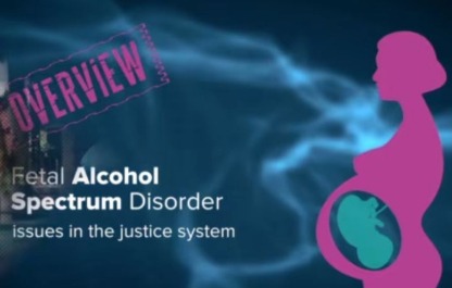 Overview video of the key issues presented in a series of five FASD and justice videos