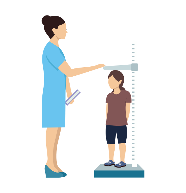 Vector image of clinician measuring the height of a child